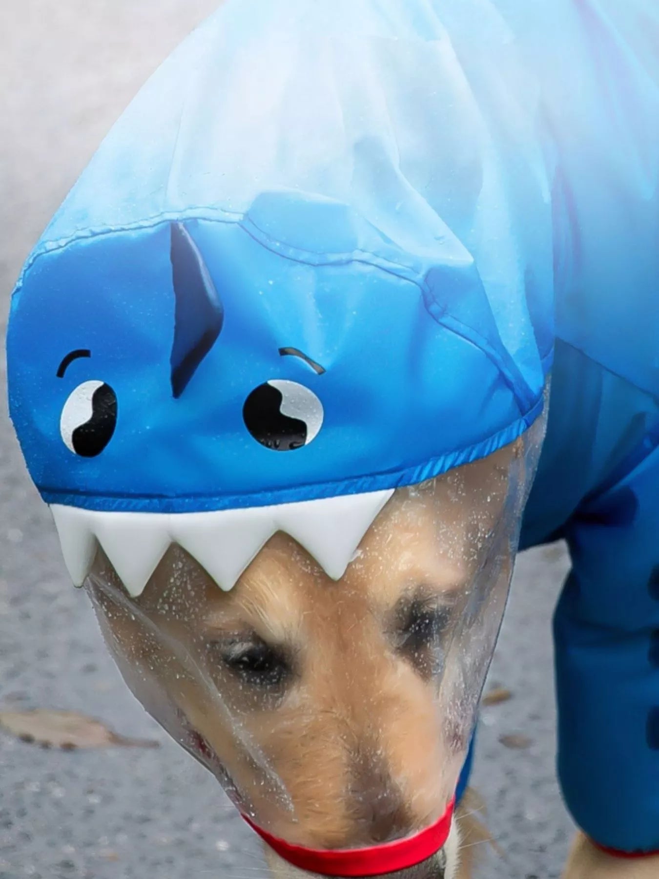 0e42798b-a597-4bf3-9680-a7507af06a7f-Max-Origin