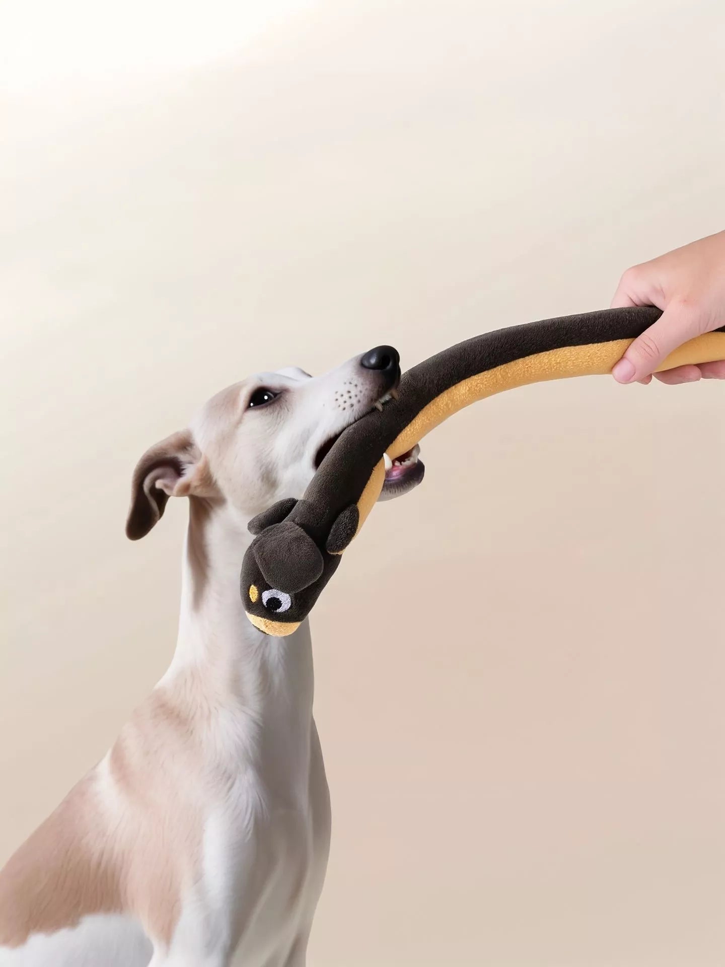 a5c9a38b-ef33-4f78-b4ef-cddfd980ab85-Max-Origin