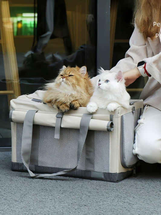 b333a4f9-3f92-4478-9fd5-b9473d6ff77d-Max