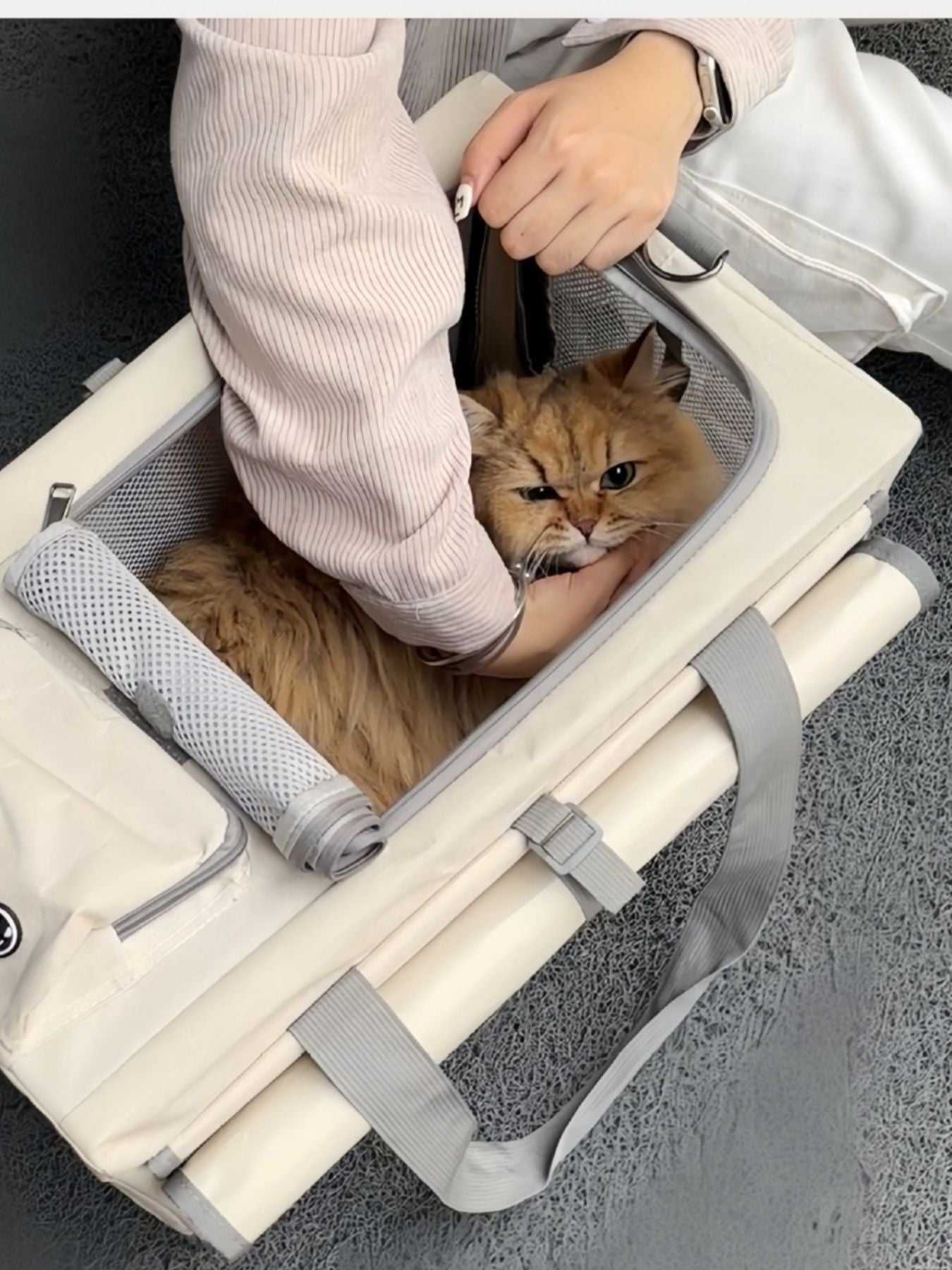 b4a2bded-dcdc-4748-a172-7ac9773c0651-Max