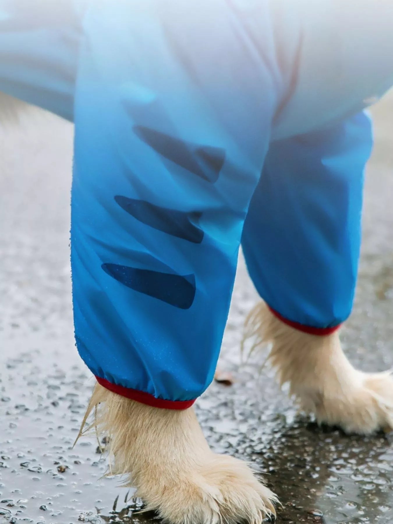 ea99b9b0-d820-4868-9b24-ddfa5f63a4b8-Max-Origin